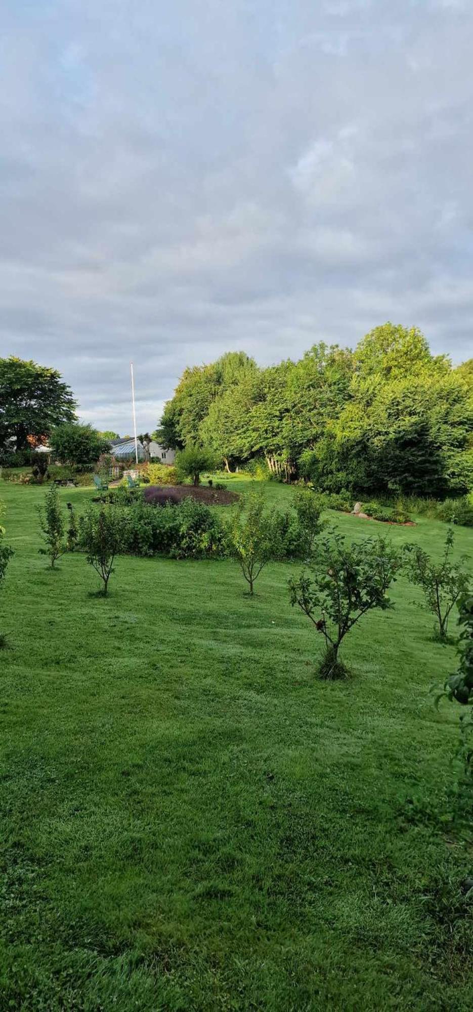 Bed and Breakfast Hos Molsgaarden Knebel Zewnętrze zdjęcie