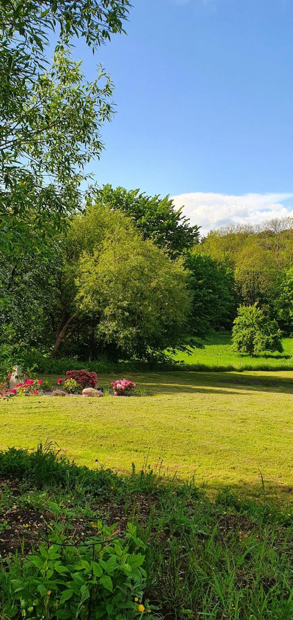 Bed and Breakfast Hos Molsgaarden Knebel Zewnętrze zdjęcie